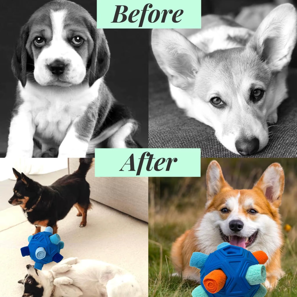 Snuffle Ball for Dog